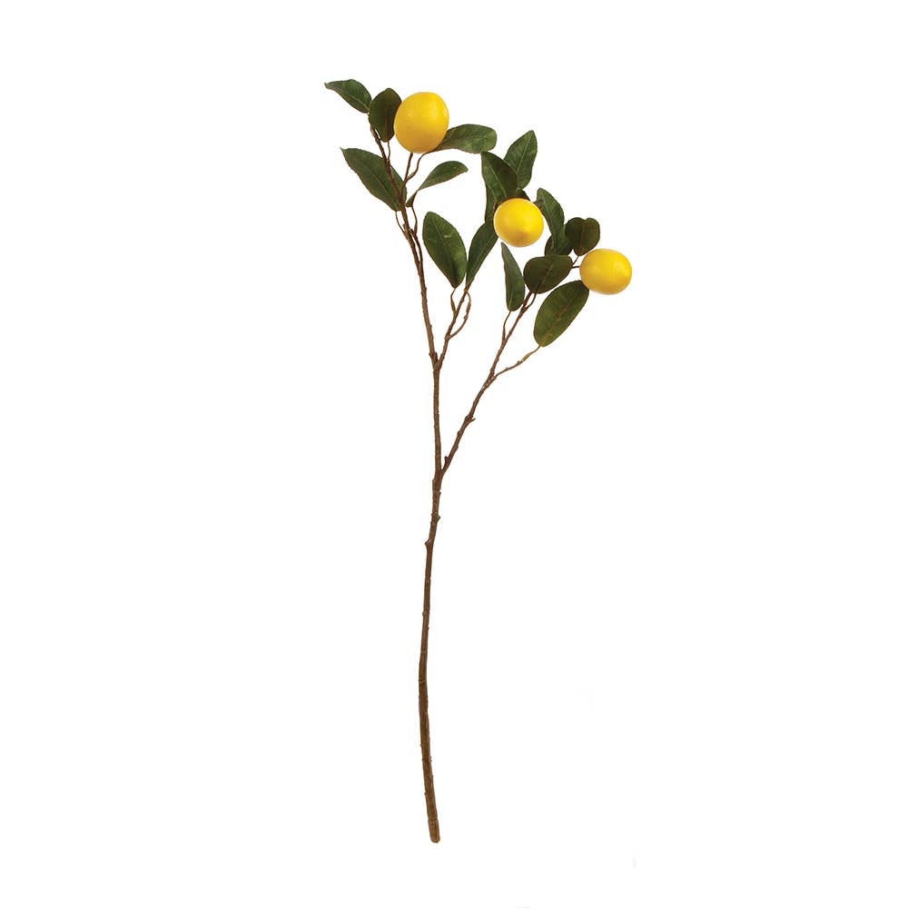 Lemon Branch