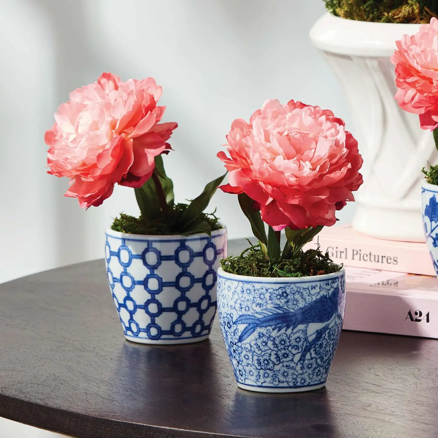 Mini Peony Potted 6.5" Coral