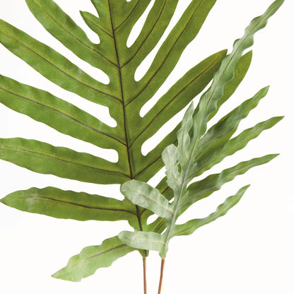 Hare's Foot Branches 34" Bundle of 2