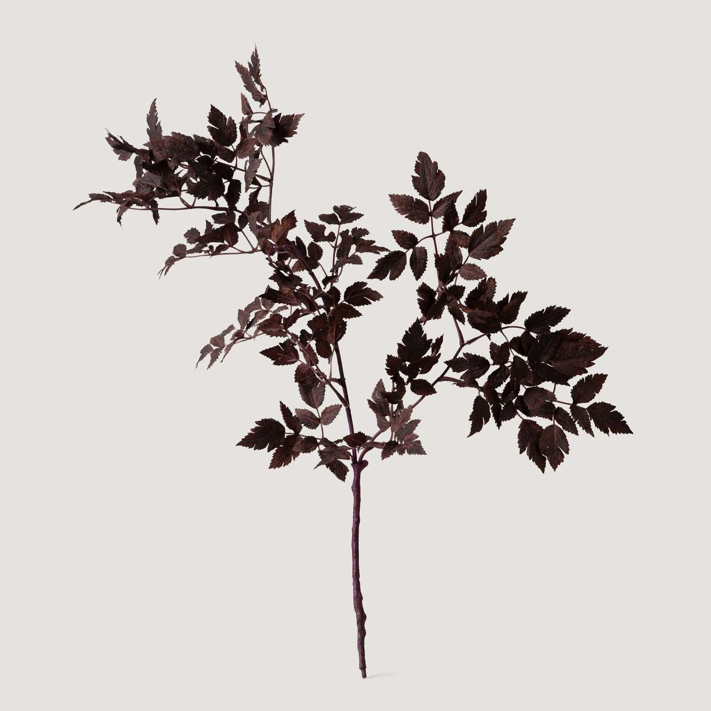 Plum Artificial Cimicifuga Plant Leaves