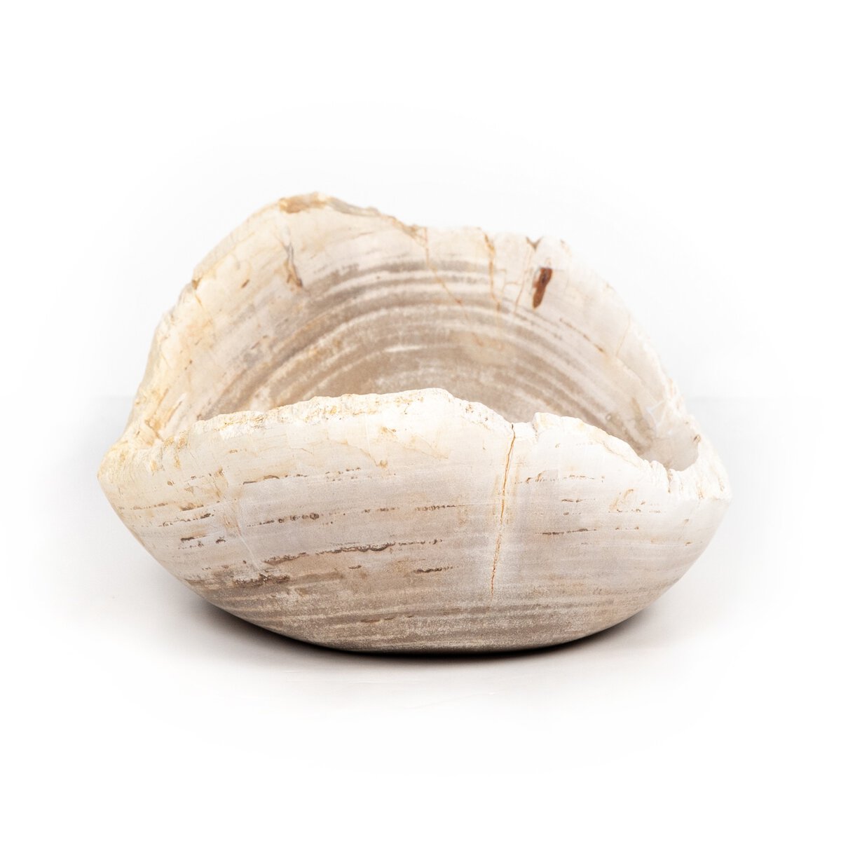 Petrified Oval Wood Bowl