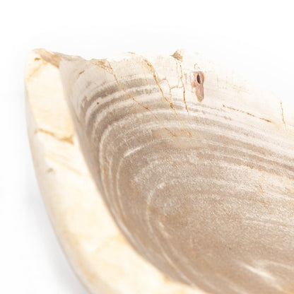 Petrified Oval Wood Bowl