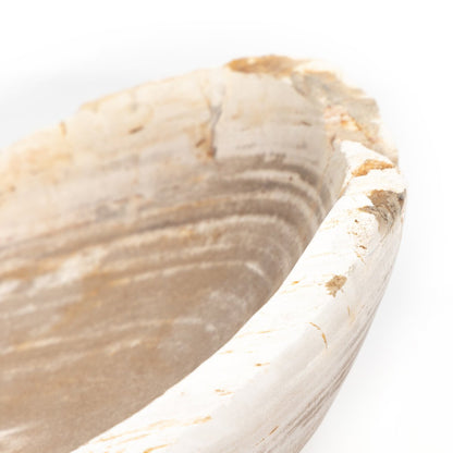 Petrified Oval Wood Bowl