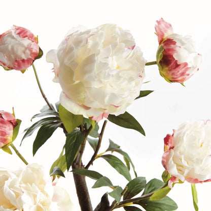 Peony Potted Drop-In 18" -Cream