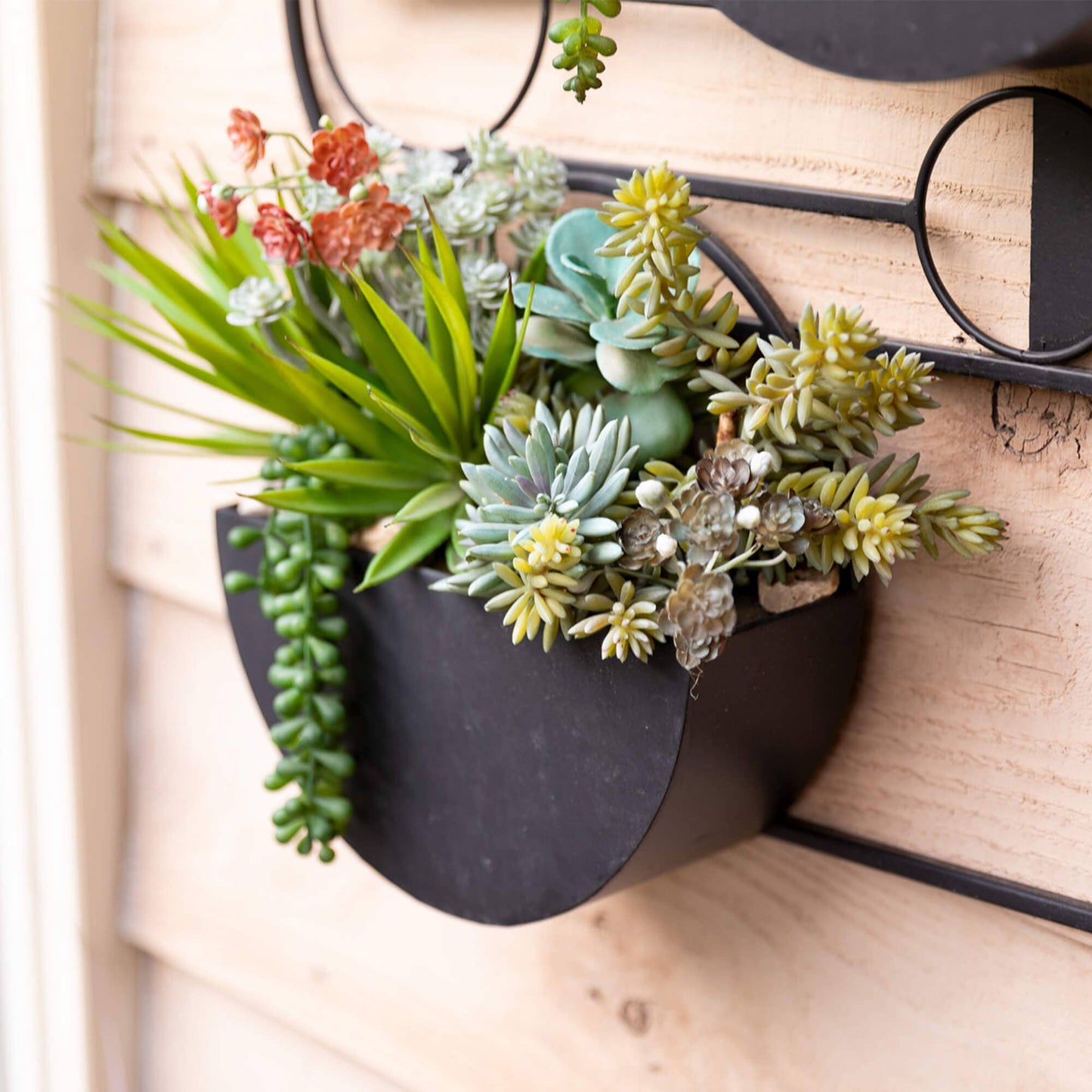 Hanging Succulent Spray