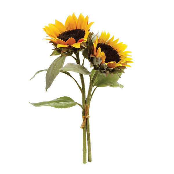 Sunflower Cuttings, Bundle Of 2