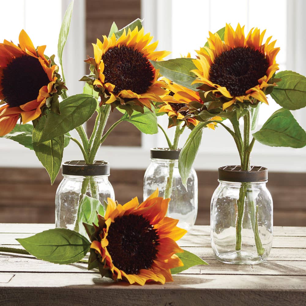 Sunflower Cuttings, Bundle Of 2