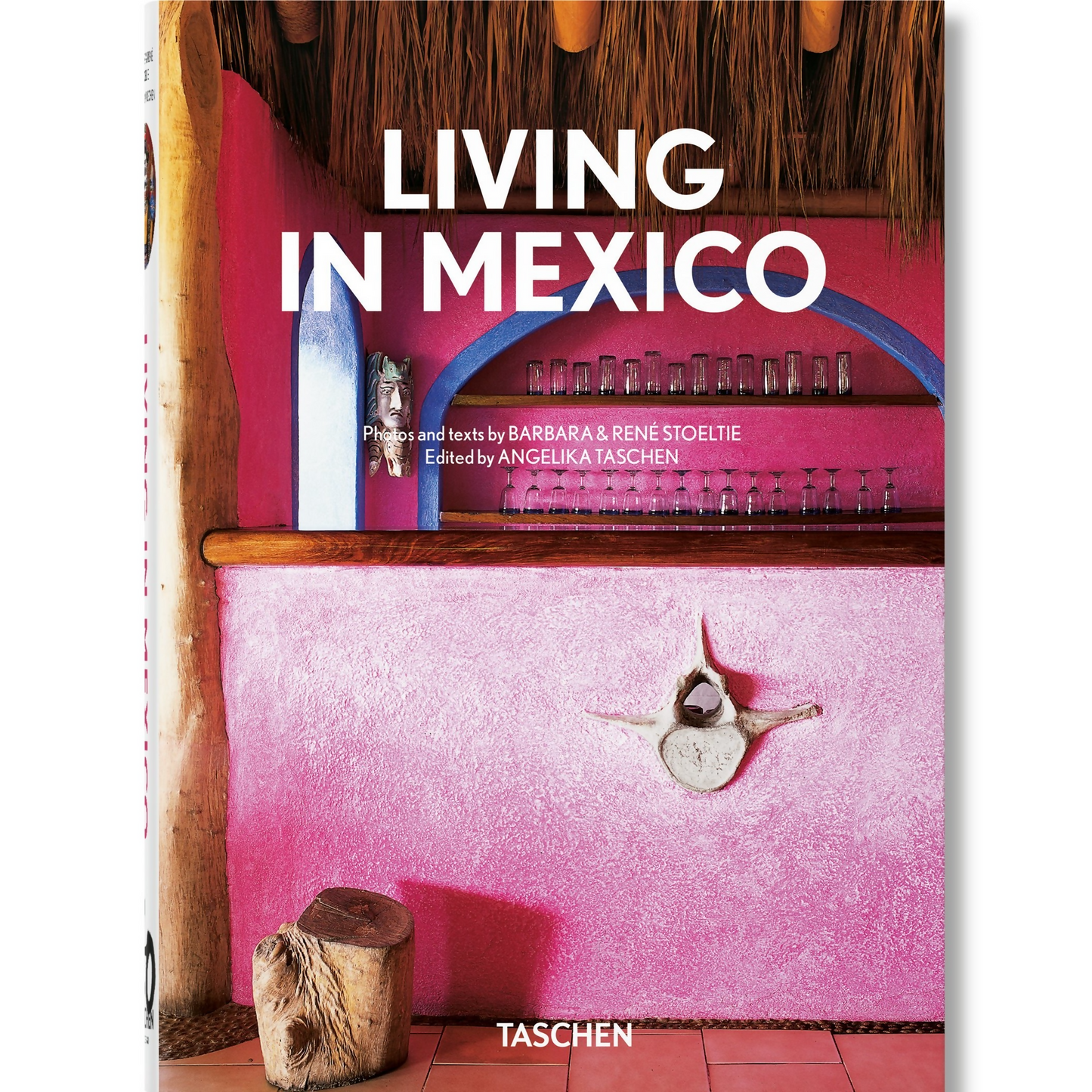 Living in Mexico Book
