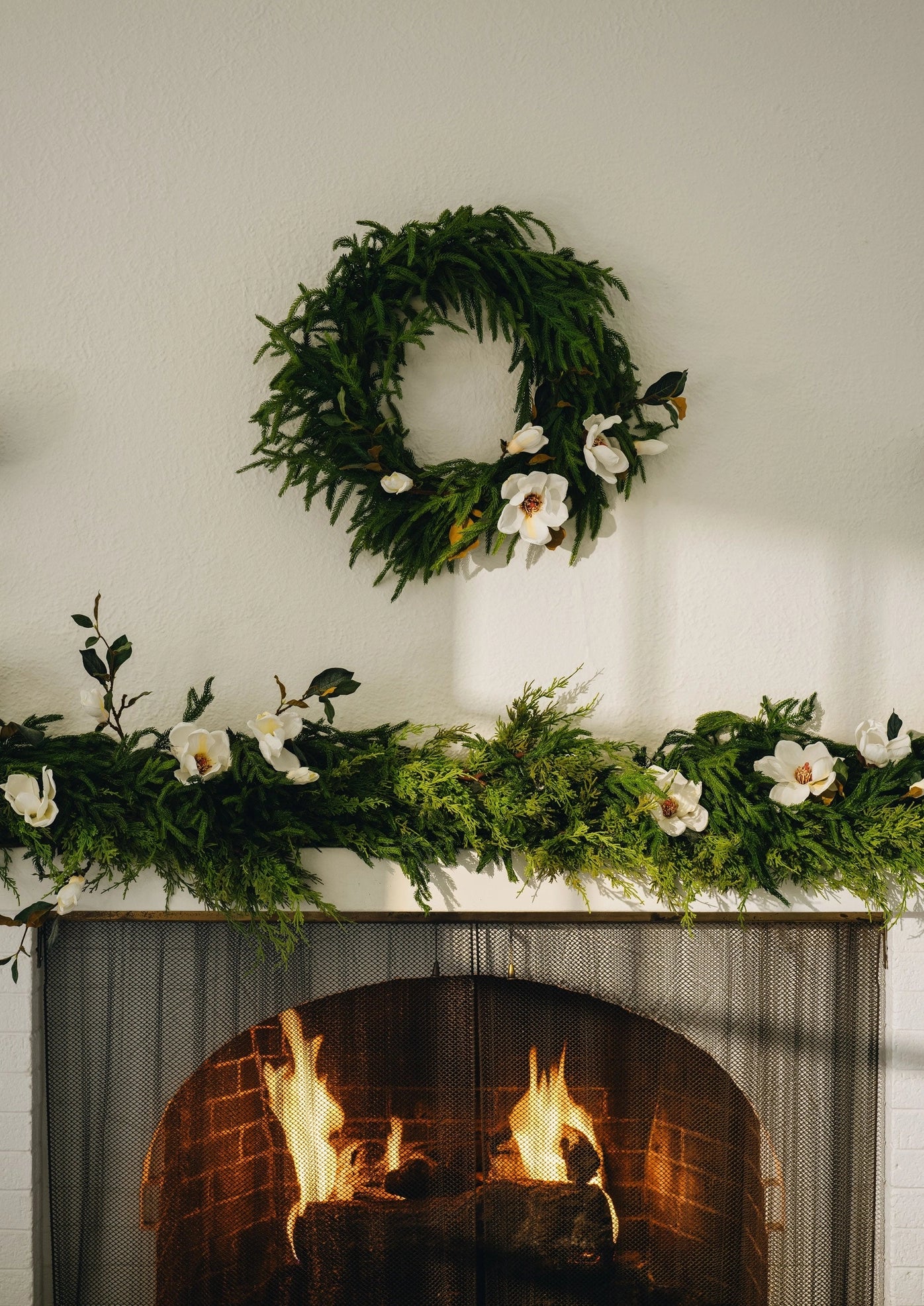 Norfolk Pine Wreath