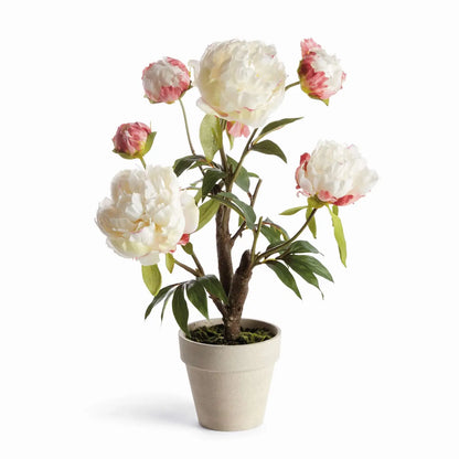 Peony Potted Drop-In 18" -Cream
