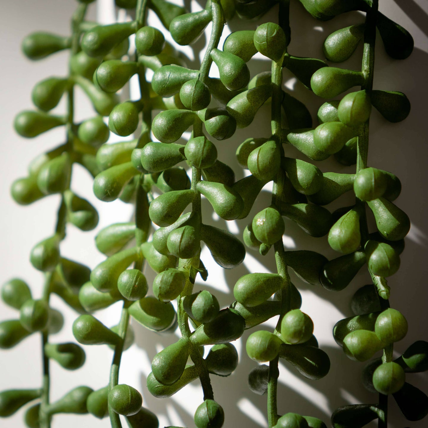 Hanging Succulent Spray