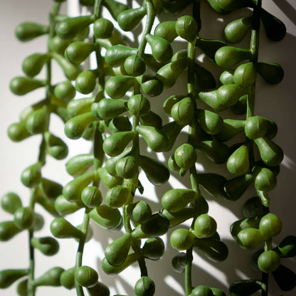 Hanging Succulent Spray
