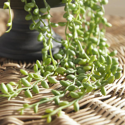 String of Pearls