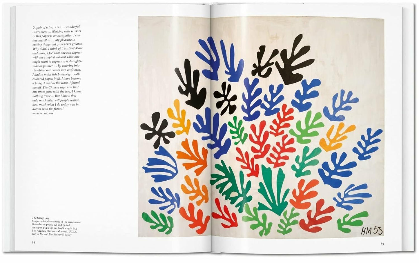 Matisse Book