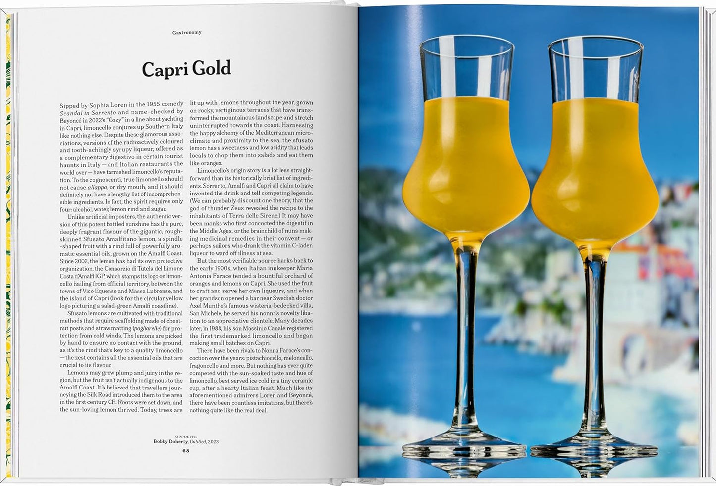 The Gourmand's Lemon. A Collection of Stories & Recipes