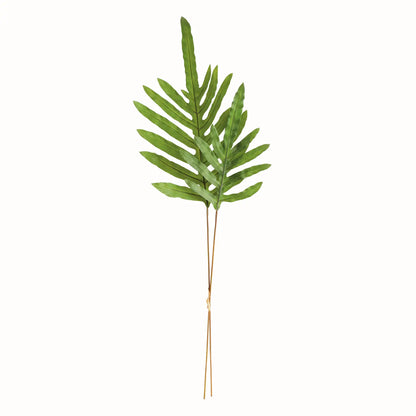 Hare's Foot Branches 34" Bundle of 2