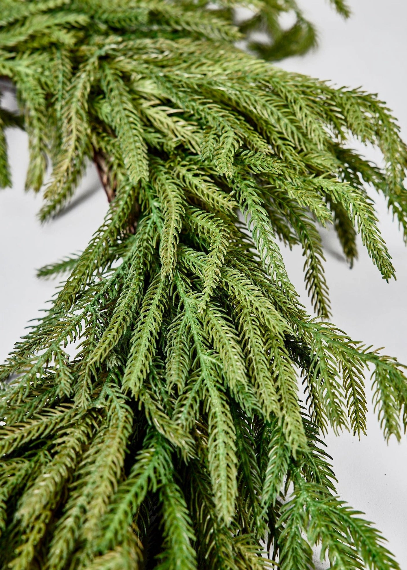 Norfolk Pine Wreath