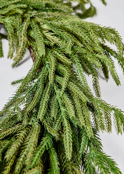Norfolk Pine Wreath