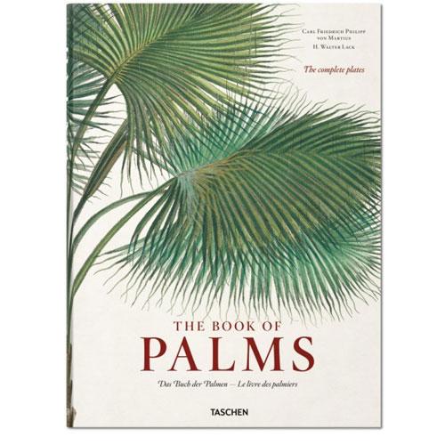 The Book of Palms