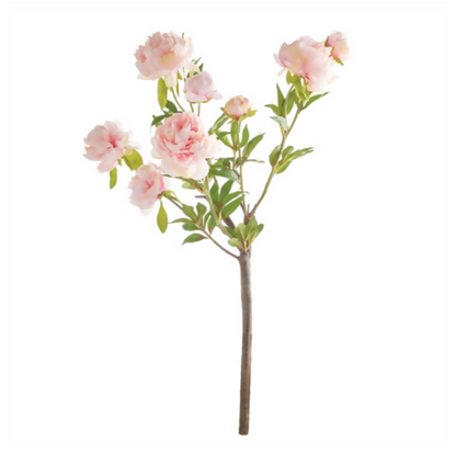 PEONY BRANCH