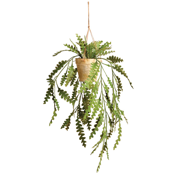 RIC RAC HANGING CACTUS POTTED 17"