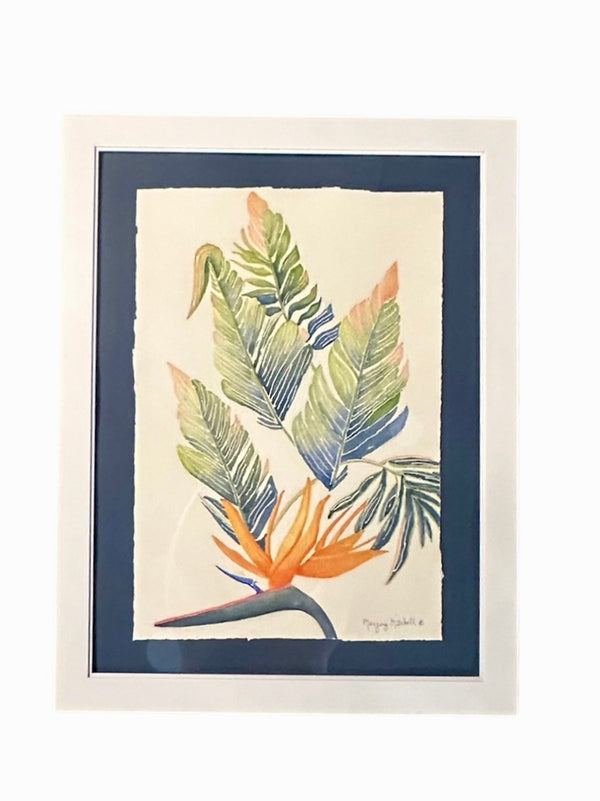 Bird of Paradise