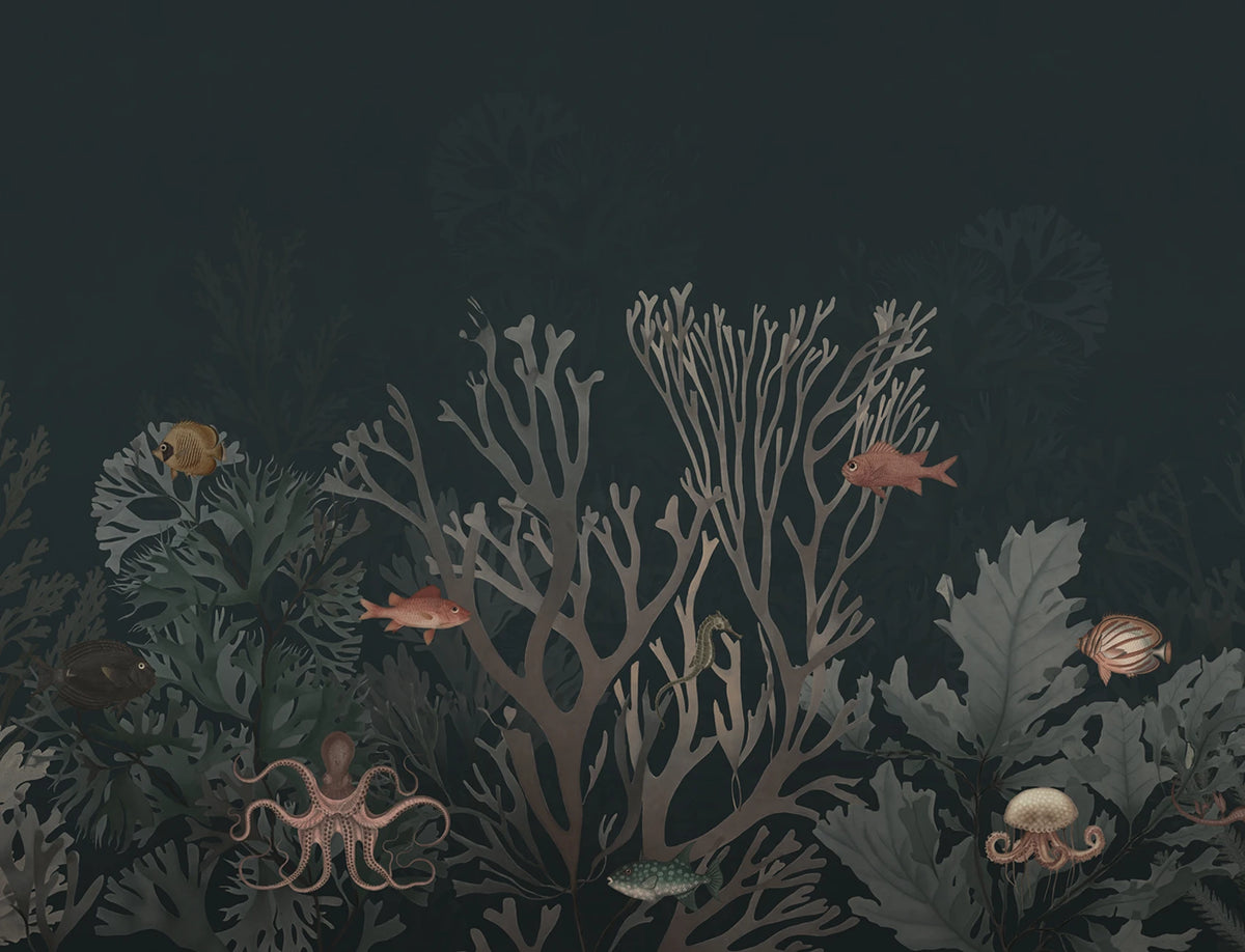 Coral World Wallpaper
