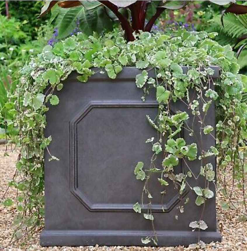 Chelsea Planter Box