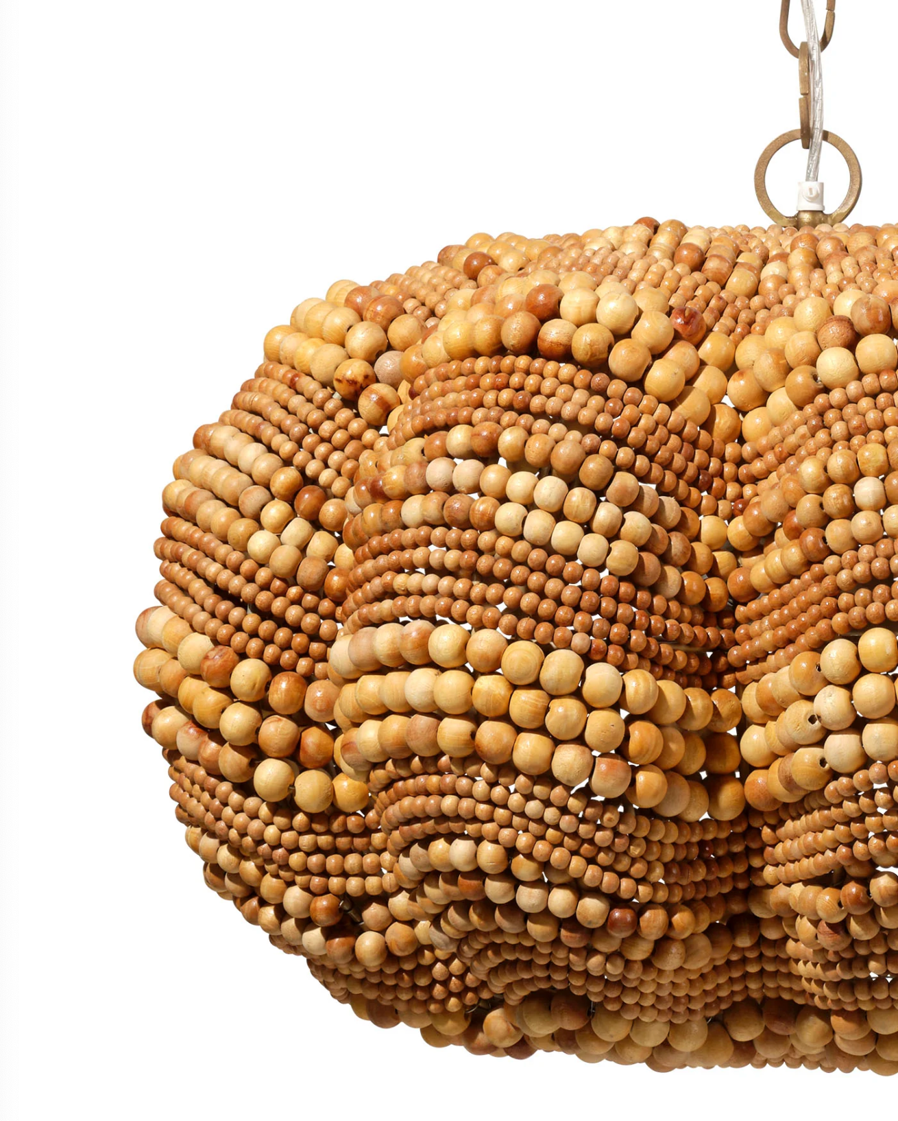 Clamshell Chandelier
