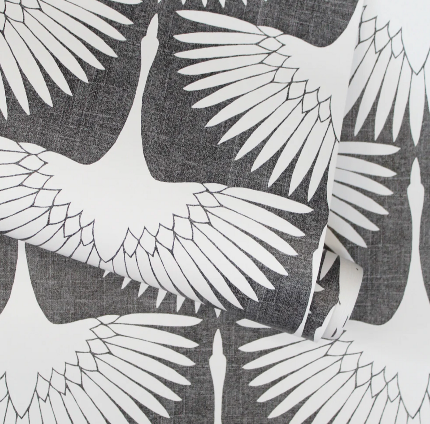 Feather Flock Peel and Stick Wallpaper By Genevieve Gorder