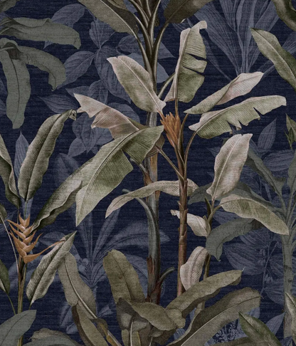 Borneo Midnight Wallpaper