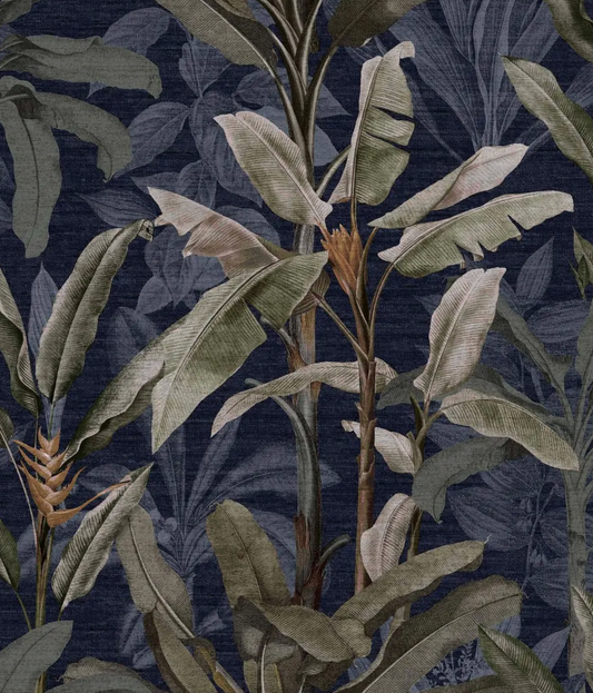 Borneo Midnight Wallpaper