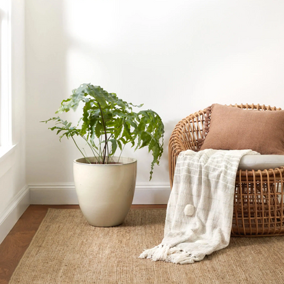 Willa Braided Woven Hemp Custom Rug