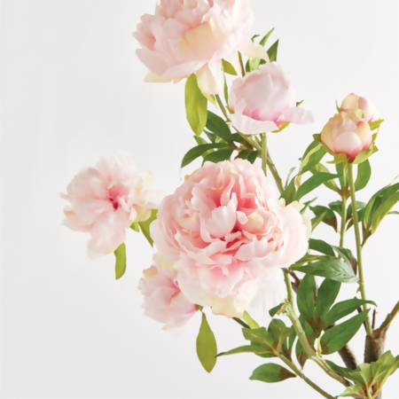 PEONY BRANCH