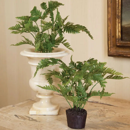 Lady Fern Drop-in 8.5"