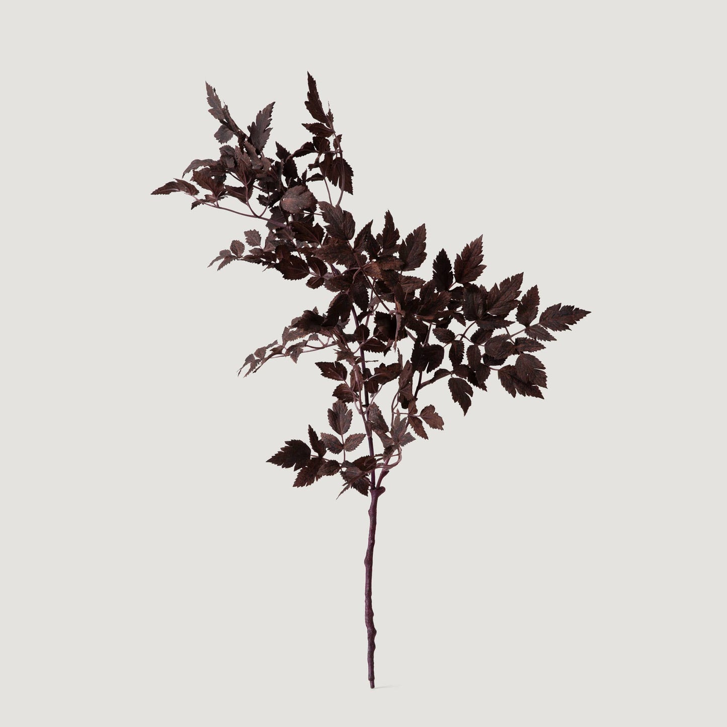 Plum Artificial Cimicifuga Plant Leaves