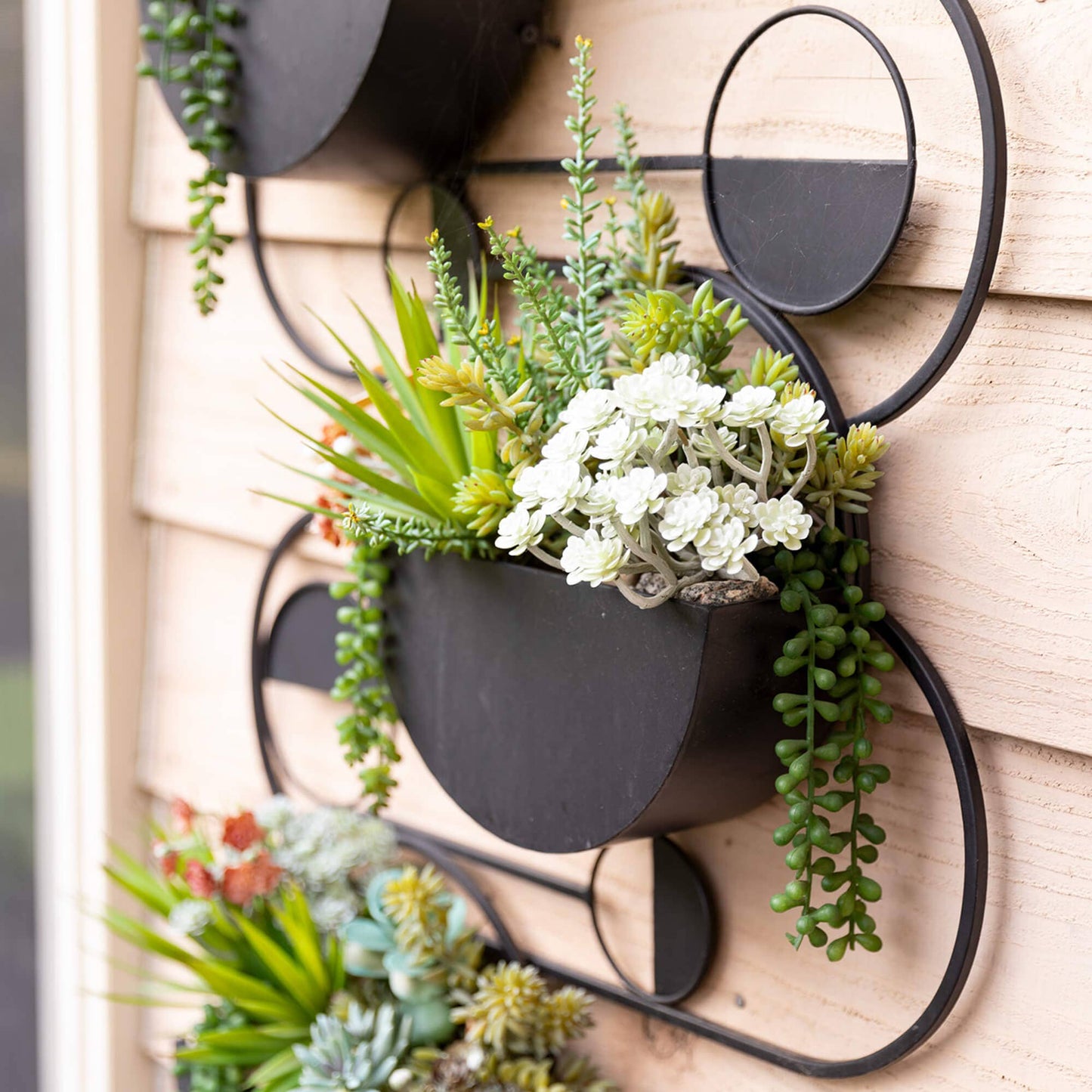 Hanging Succulent Spray