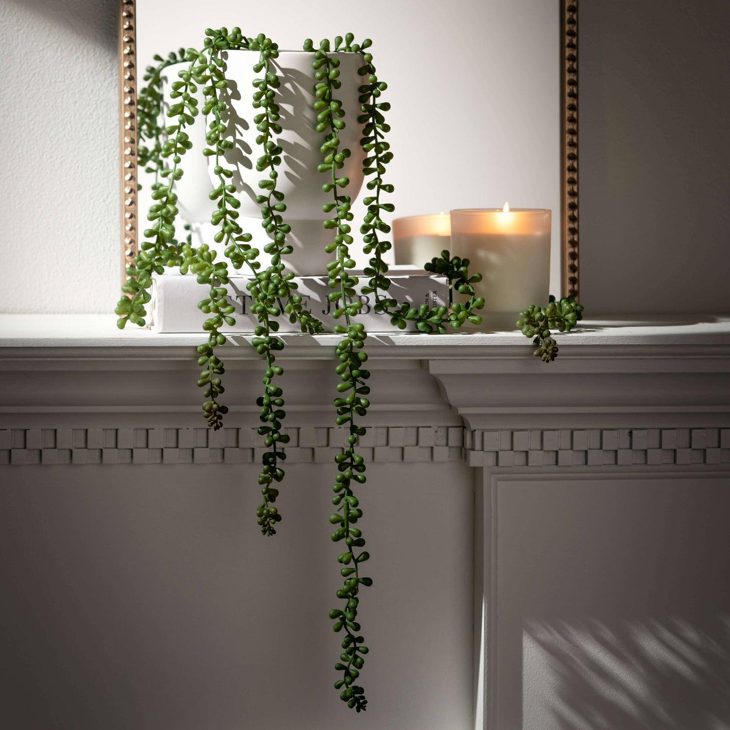 Hanging Succulent Spray
