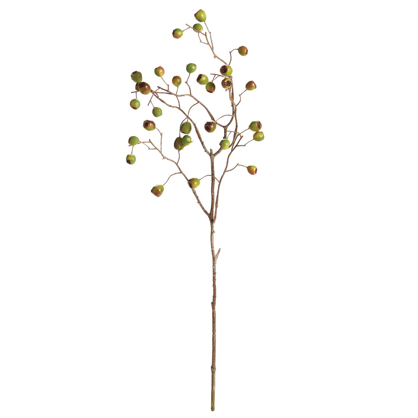 Green Berry Branch