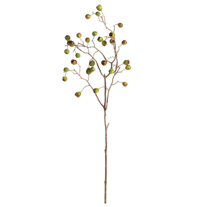 Green Berry Branch