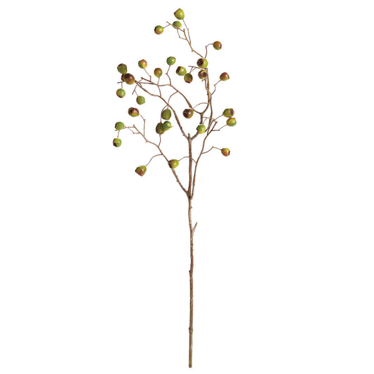 Green Berry Branch