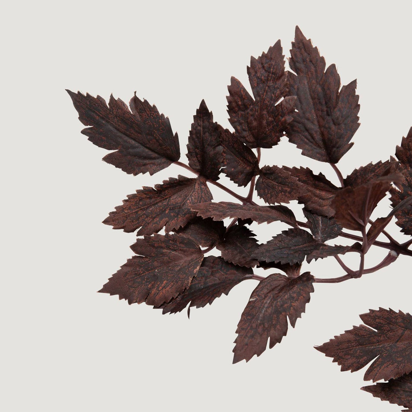 Plum Artificial Cimicifuga Plant Leaves