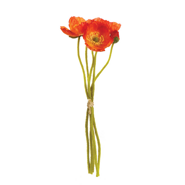 Red Minni poppy cuttings bundle