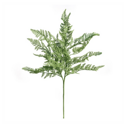 Fern Bush Stem